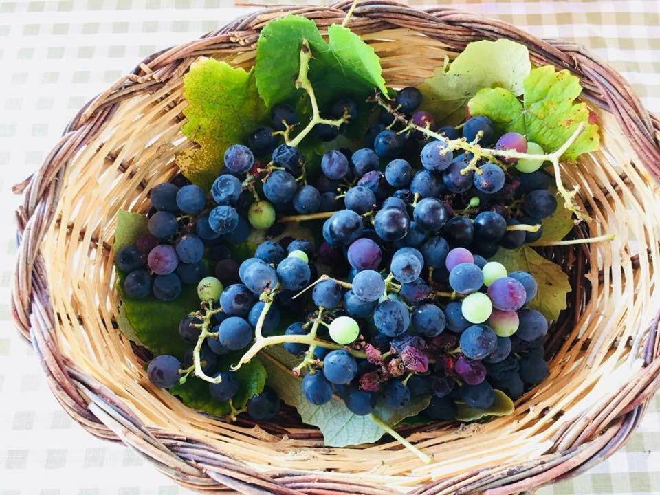 Casamassella La Vallonea المظهر الخارجي الصورة